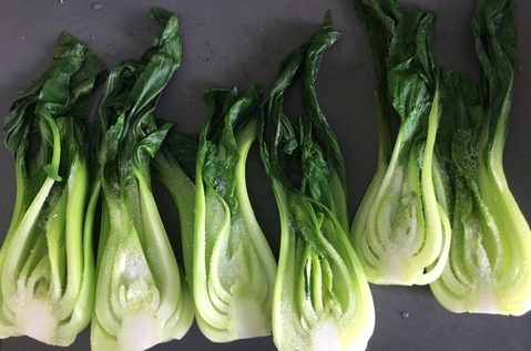 適合在地氣候與永續特性　瑞士本土青江菜快速走紅