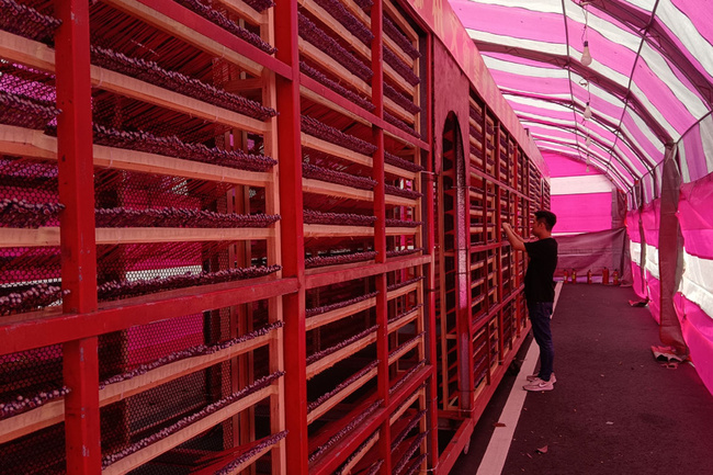 鹽水蜂炮3月2日登場　炮城進入最後整備階段 | 華視新聞