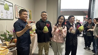 農糧署挺台東鳳梨釋迦  提供配合加工業者專案貸款