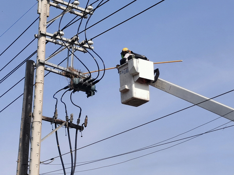 台電驚蟄專案上線　動員逾4千人防鳥獸停電