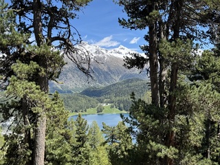 古老職業新面貌  瑞士獵人從生態管理到永續思維