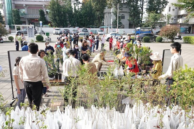 迎接植樹節　高雄市3/12免費發送2萬2800株樹苗 | 華視新聞