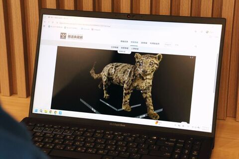 科博館3D數位典藏　台灣雲豹、化石標本零距離觀看