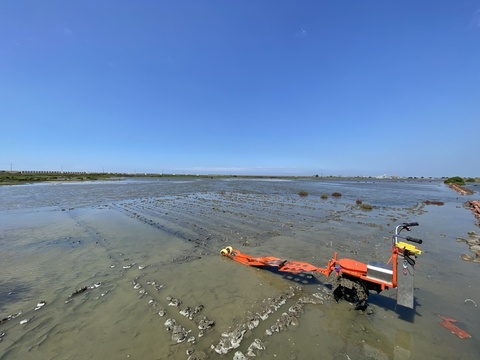 追趕海草消失速度　澎湖、台灣西南部建種原庫