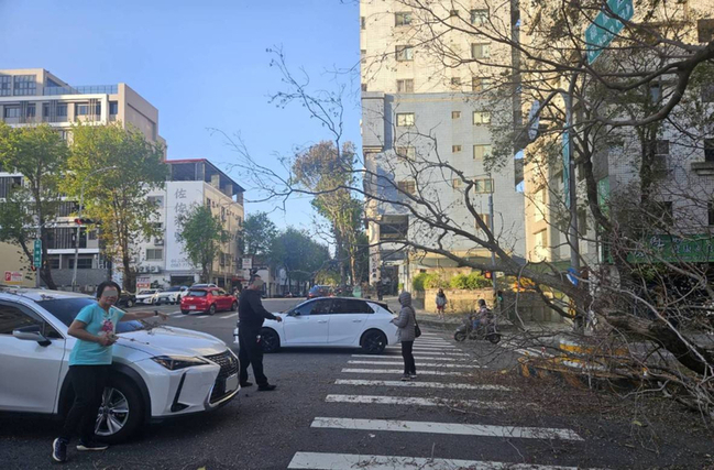 台中強風吹倒路樹　轎車經過遭砸幸無人傷 | 華視新聞