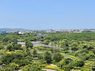 2027台灣燈會在苗栗　縣府：燈區設高鐵站周邊