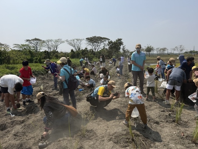 屏東圳寮濕地種千株白茅　守護瀕危草鴞棲地 | 華視新聞