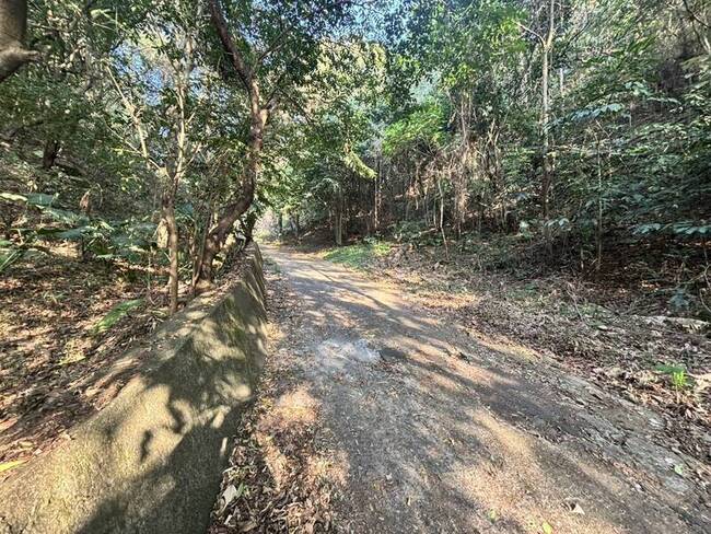 彰化員林男子喪命被挖眼割臉　2涉案主嫌遭羈押 | 華視新聞