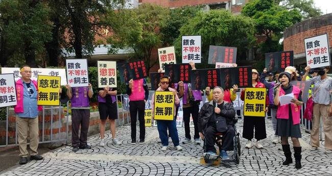 餵食浪浪負飼主責任？動保、野保團體見解不同 | 華視新聞