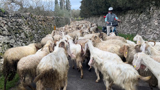 南義開闢300公里單車道  慢遊古蹟海景世外桃源