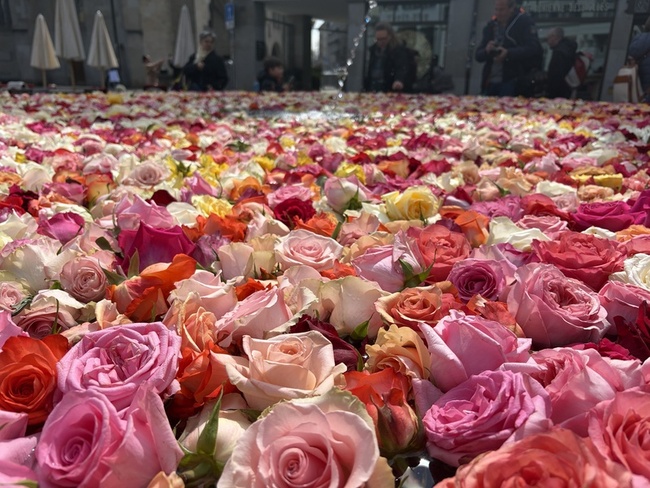 蘇黎世復活節新傳統　玫瑰噴泉接住現代人脆弱 | 華視新聞