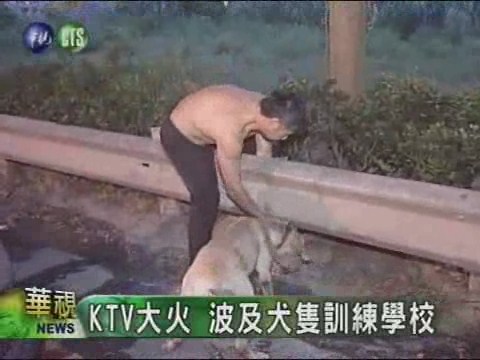 KTV大火 波及犬隻訓練學校 | 華視新聞