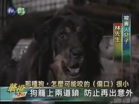 獒犬發情失控 咬傷老翁下體 | 華視新聞