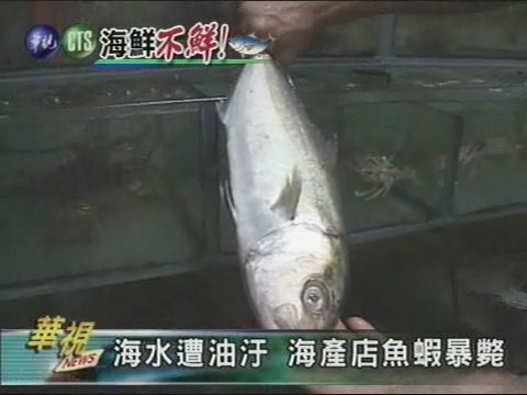 海水遭油汙 海產店魚蝦暴斃 | 華視新聞