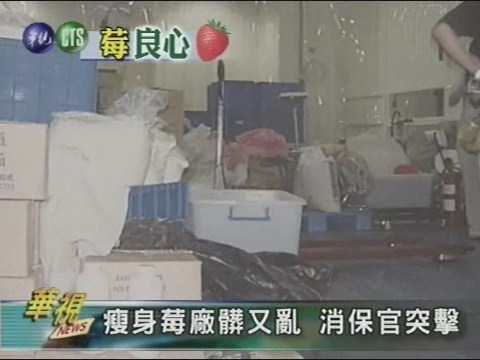 瘦身莓廠髒又亂消保官突擊 | 華視新聞