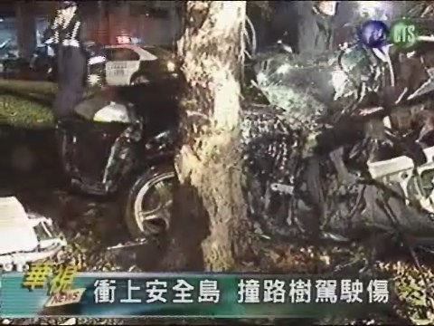 衝上安全島 撞路樹駕駛傷 | 華視新聞