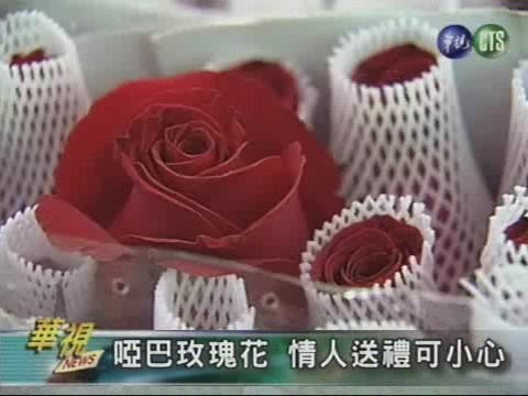啞巴玫瑰花 情人送禮可小心 | 華視新聞