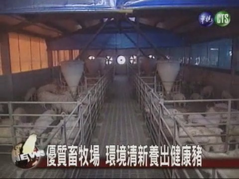 優質畜牧場 環境清新養出健康豬 | 華視新聞