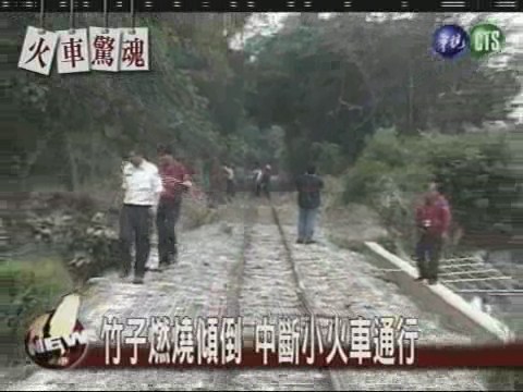 阿里山小火車 遭火警擋去路 | 華視新聞