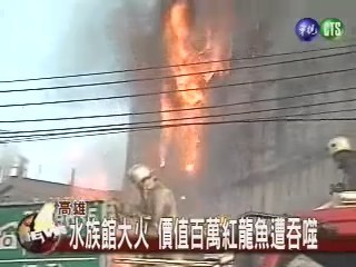 水族館驚傳大火百萬紅龍變紅燒 | 華視新聞