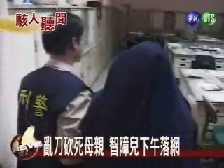 亂刀砍死母親 智障兒下午落網 | 華視新聞