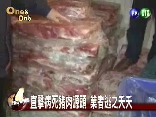 直擊病死豬肉源頭業者逃之夭夭 | 華視新聞