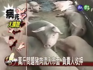 辨識病死豬肉 檢察官廠商齊上課 | 華視新聞