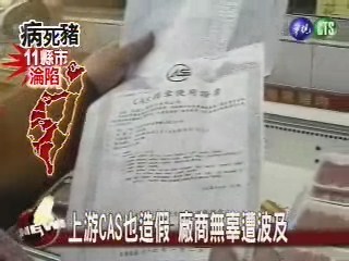 上游CAS也造假 廠商無辜遭波及 | 華視新聞