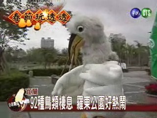 92種鳥類棲息 羅東公園好熱鬧 | 華視新聞