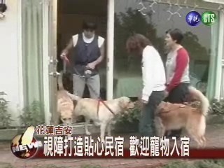 寵物民宿 飼主帶寵物樂翻天 | 華視新聞