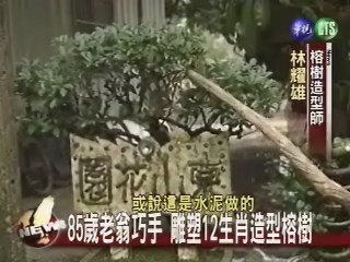 12生肖造型榕樹老翁一手雕塑 | 華視新聞