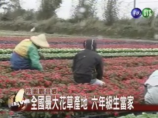 愛捻花惹草! 六年級生花草定江山 | 華視新聞