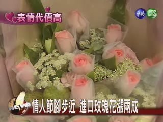 情人節腳步近 進口玫瑰花漲兩成 | 華視新聞
