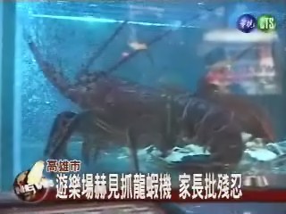 兒童遊樂場 赫見殘忍抓龍蝦機 | 華視新聞