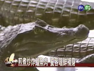 鱷魚養生餐 口感香Ｑ滑順 | 華視新聞