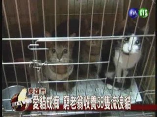 愛貓成痴 窮老翁收養58隻流浪貓
