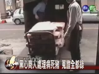 黑心商處理病死豬 檢調搜證全都錄 | 華視新聞