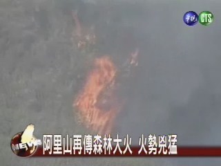 阿里山再傳森林大火 火勢兇猛 | 華視新聞