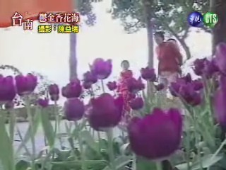 台南花卉節 上萬鬱金香 | 華視新聞