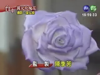 萬元玫瑰花