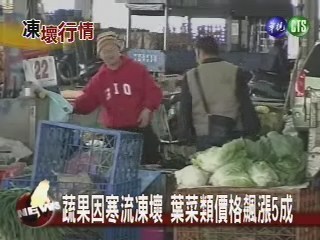 蔬果因寒流凍壞 葉菜類價格飆漲5成