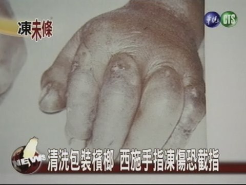 清洗包裝檳榔 西施手指凍傷 | 華視新聞