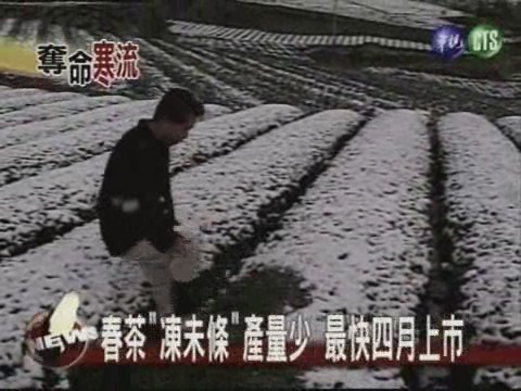 寒害農民損失逾七億 77人天冷猝死 | 華視新聞