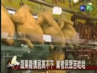 寒害農損逾11億 雞肉價17年新高 | 華視新聞