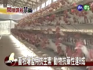 畜牧場濫用抗生素 動物抗藥性達8成 | 華視新聞