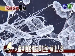 人畜共通菌種抗藥性強 禍連人類 | 華視新聞