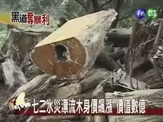 七二水災漂流木身價飆漲 價值數億 | 華視新聞