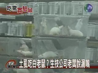 土虱大王鄰居爆料 魚兒也吃病死豬 | 華視新聞