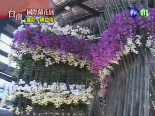 國際蘭花展 | 華視新聞