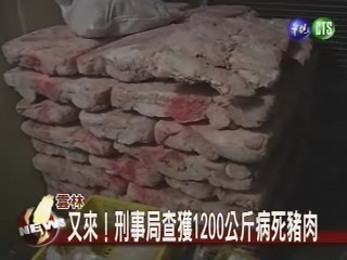 又來! 刑事局查獲1200公斤病死豬肉 | 華視新聞